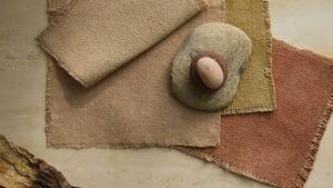 20250514 sien co boh 537 3x2